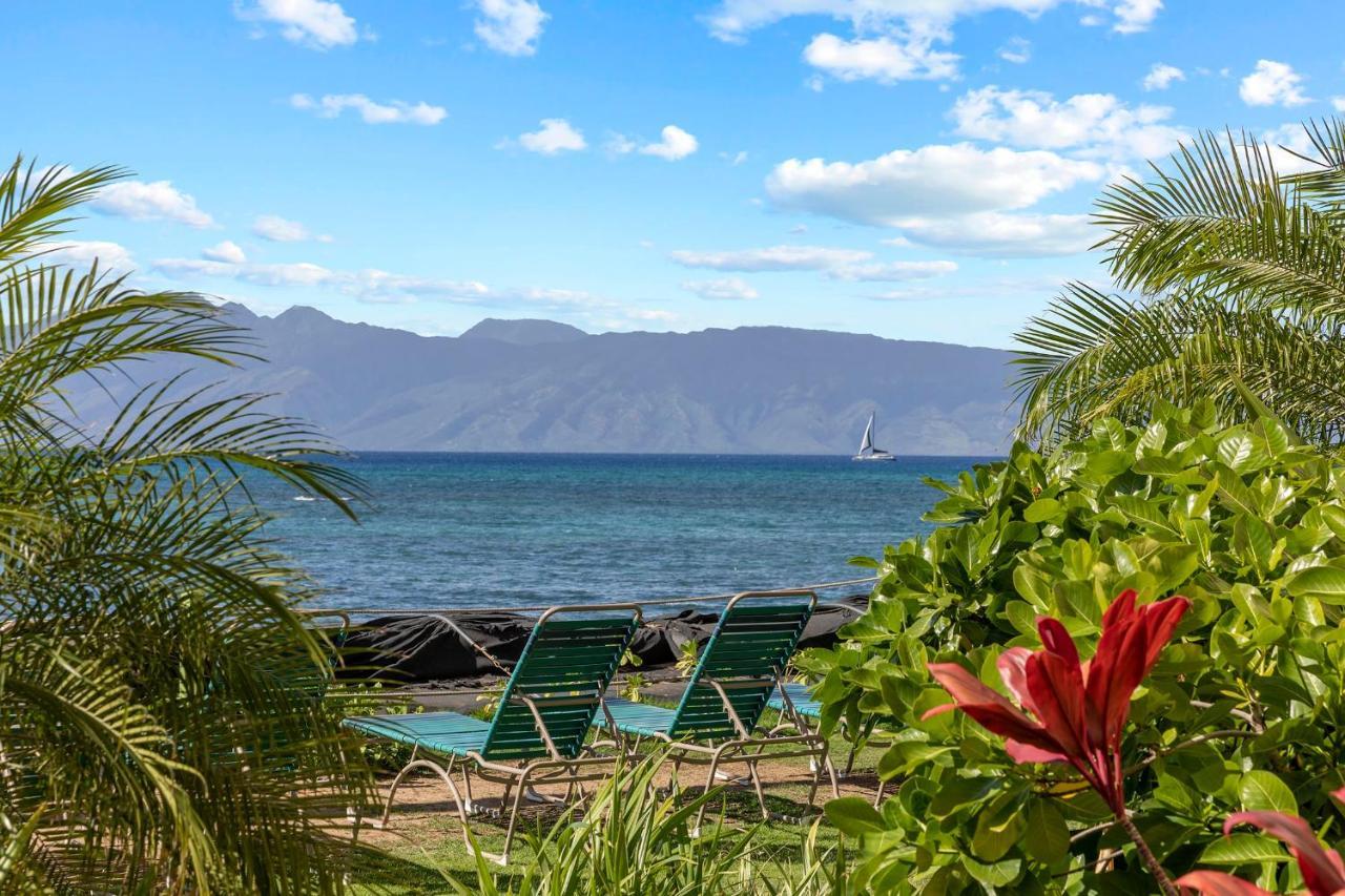 Vila Incredible Beachfront 1Br - Sleeps 4 Awesome Location And In The Center Of Restaurants Many Beaches Golf And More Kahana Exteriér fotografie
